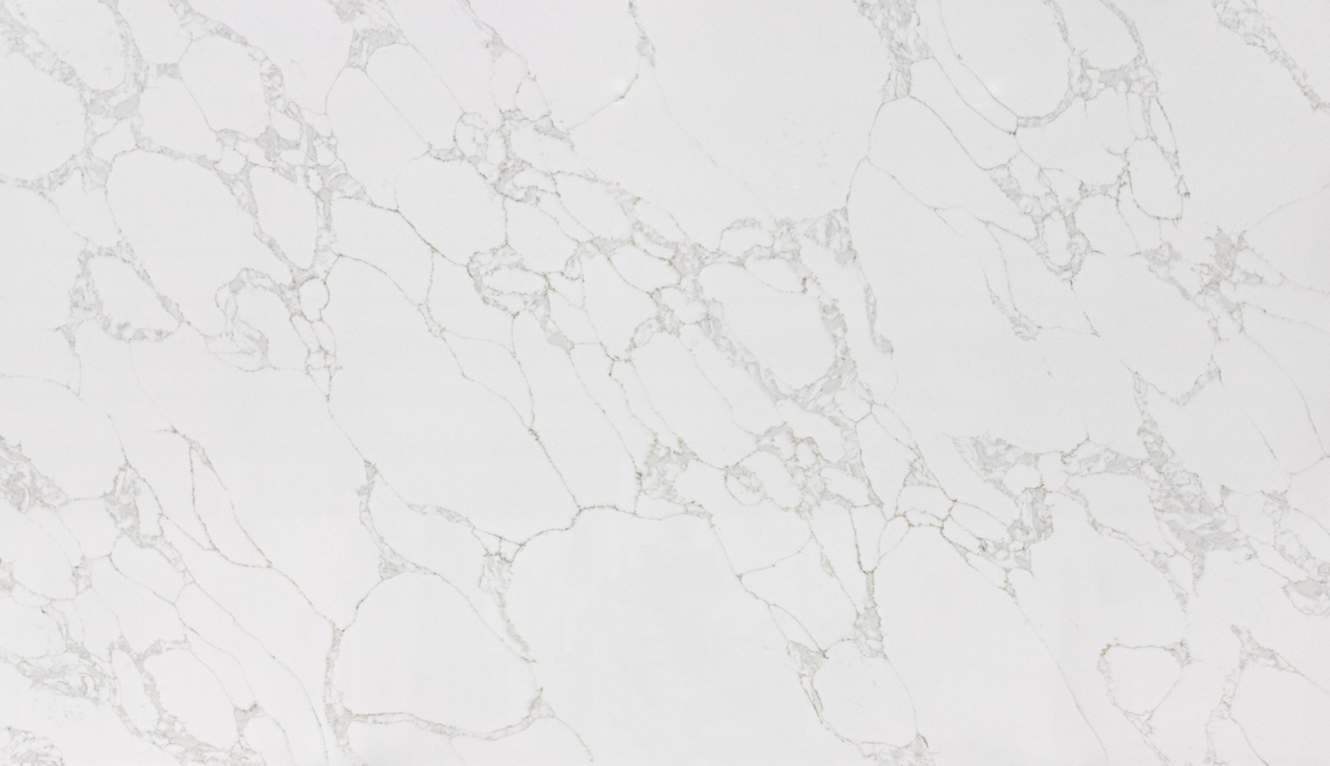 Calacatta Ethos Honed